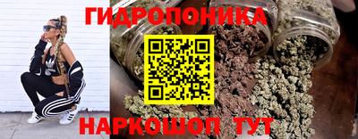 шишки Ипатово