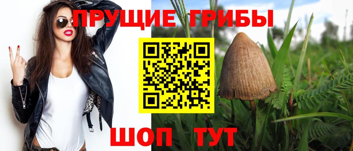 Псилоцибиновые грибы мухоморы Арсеньев
